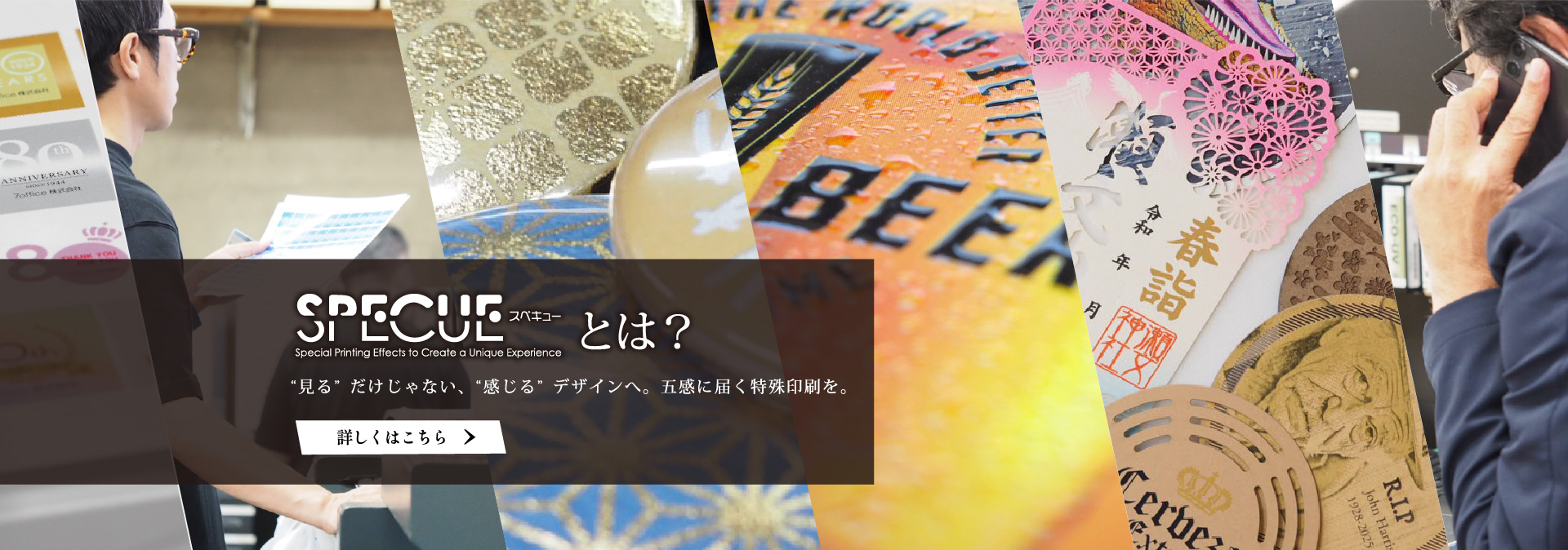 見るだけじゃない、